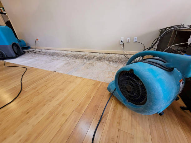 Professional Water Removal technician working in Wright, FL